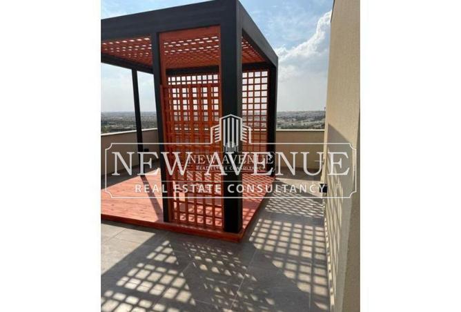 54497695 - Property Image 3