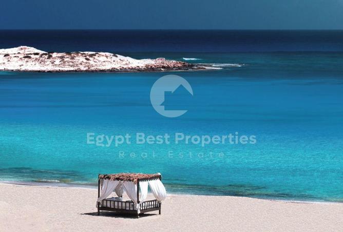 91008339 - صورة العقار 3