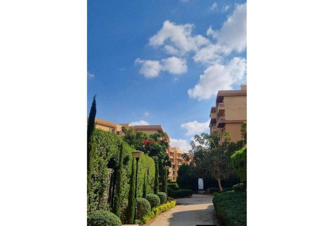 53728902 - صورة العقار 3