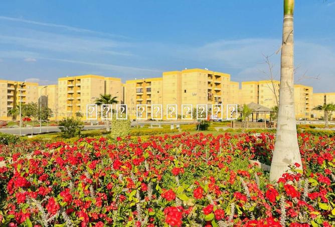 8602848 - الصورة الرئيسية للعقار