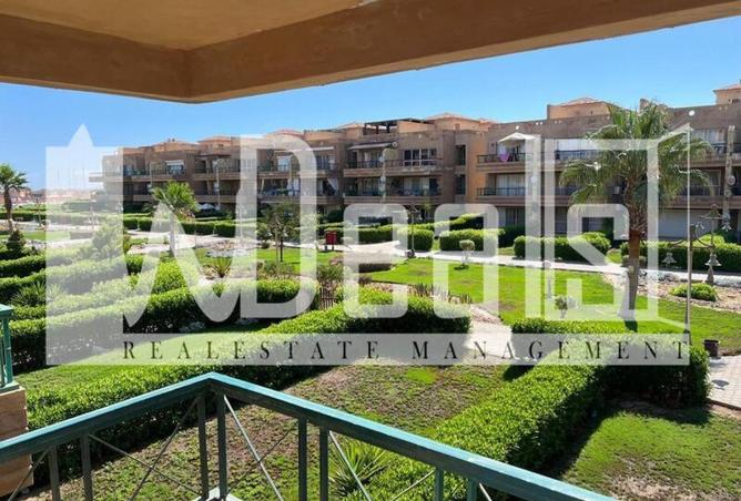 65407043 - Property Image 2