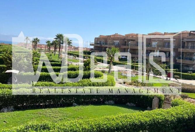 65407043 - Property Main Image