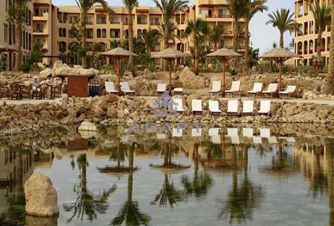 66435417 - Property Image 3