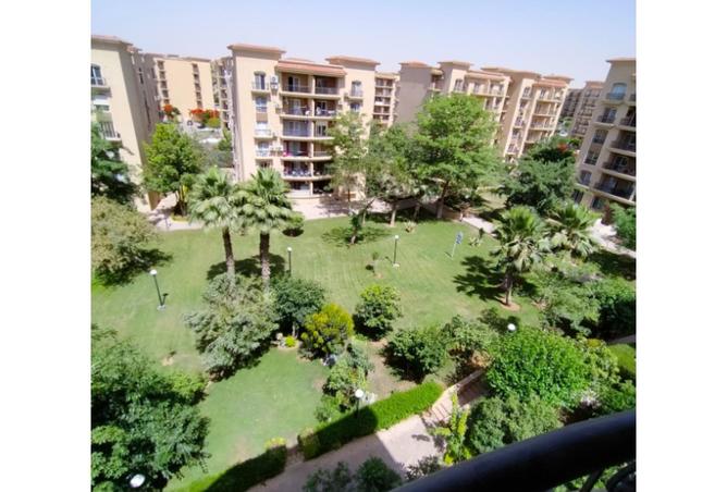 58003232 - صورة العقار 3