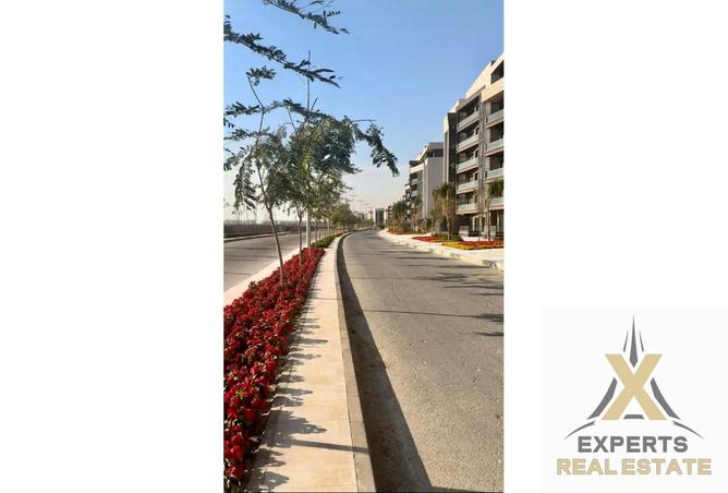 8493570 - Property Image 3