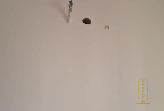 65162918 - صورة العقار 3