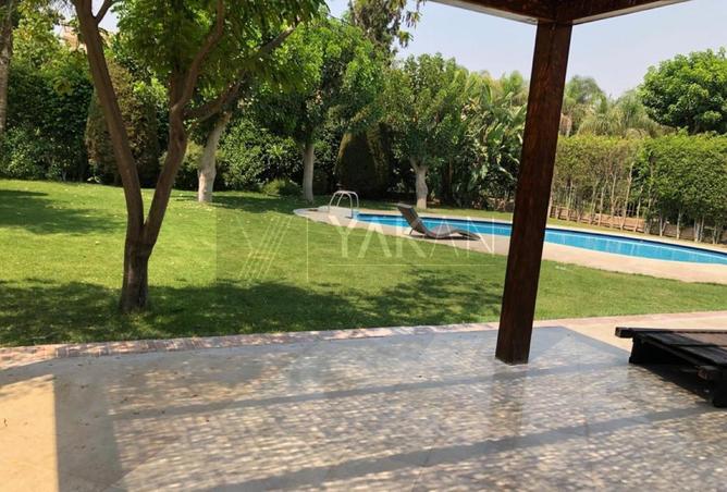 55503904 - صورة العقار 3