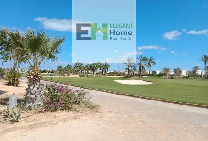 67472706 - صورة العقار 3