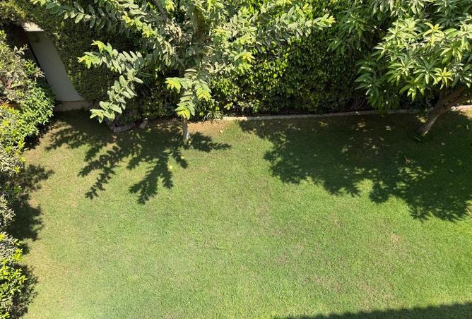 107687527 - Property Image 2