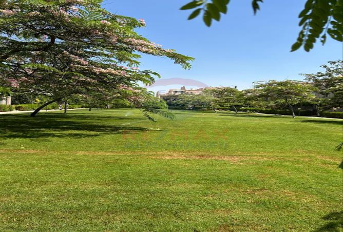 53418886 - صورة العقار 2