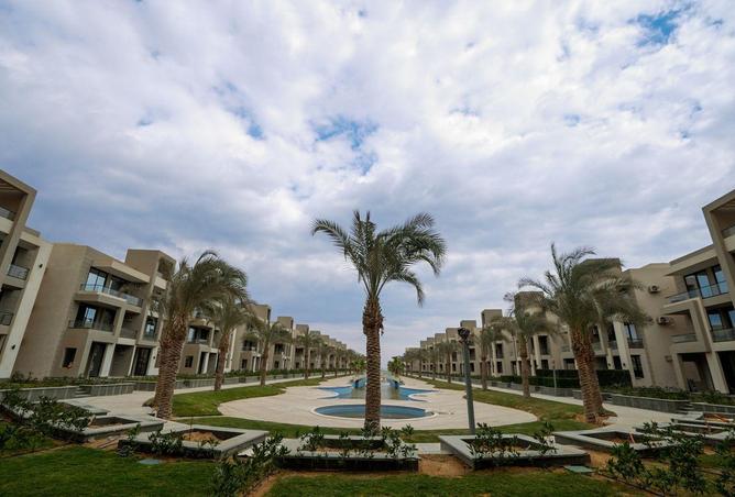 52713415 - صورة العقار 3