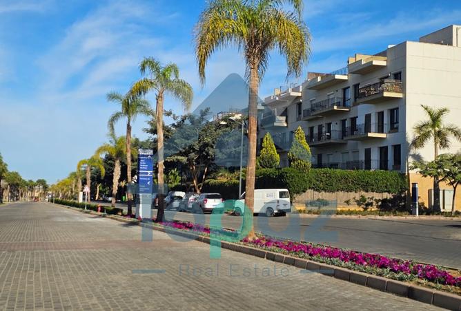 8523585 - Property Image 3