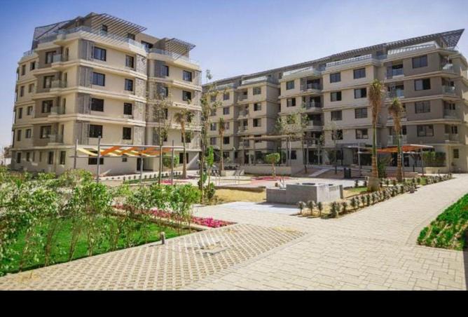 53979860 - Property Image 3