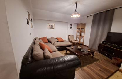 Apartment - 2 - 1 for rent in Street 206 - Degla - Hay El Maadi - Cairo