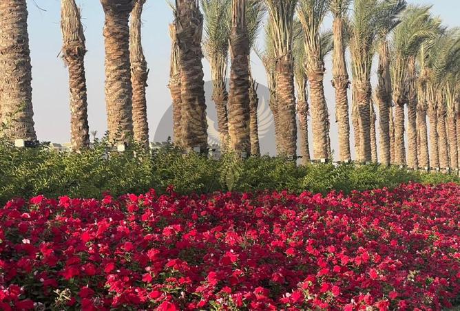 8504055 - الصورة الرئيسية للعقار