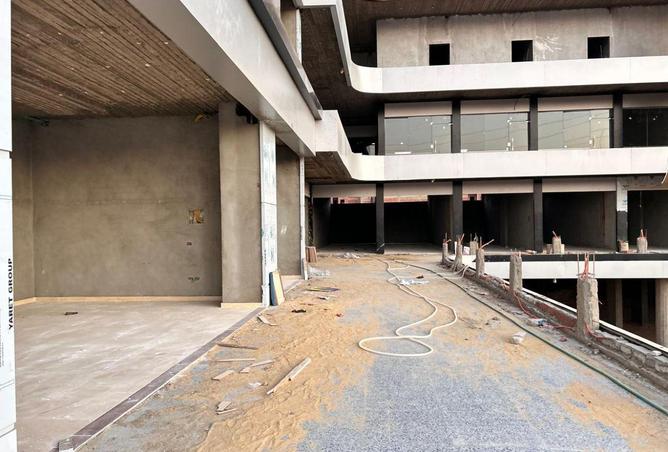 57486320 - Property Image 3