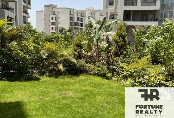 53727390 - Property Main Image