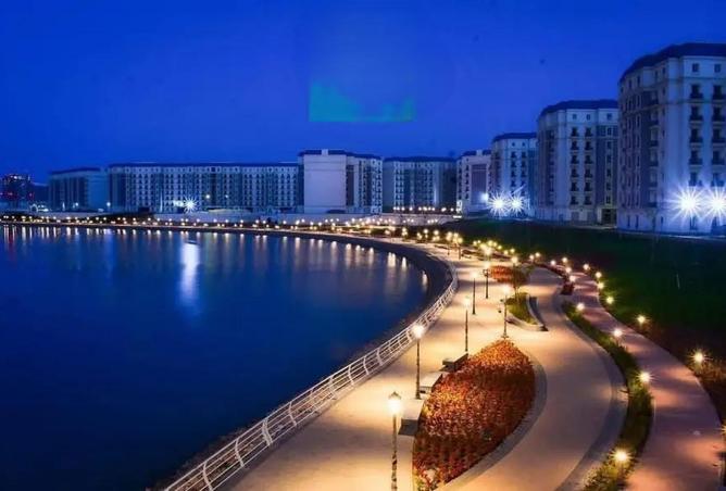 66966041 - صورة العقار 3