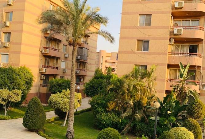 72449998 - صورة العقار 2