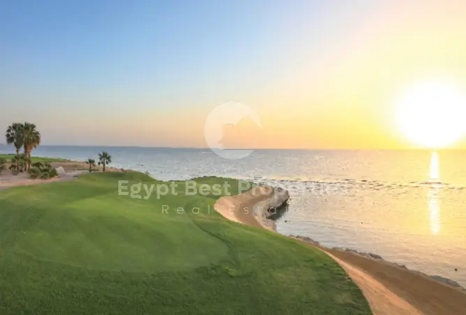 111036743 - صورة العقار 3
