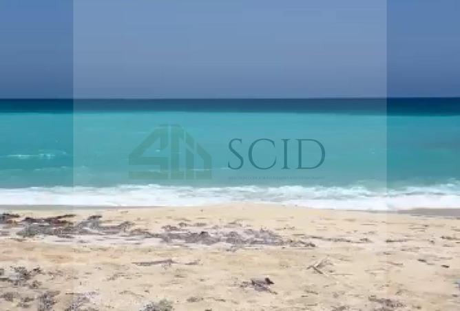 96588468 - Property Image 3