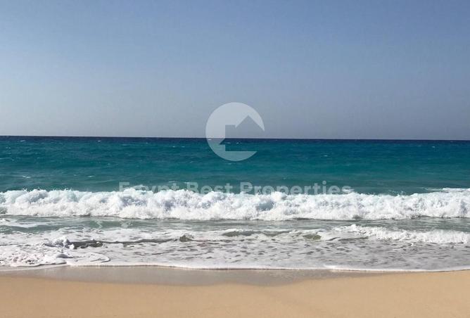 97726047 - صورة العقار 2