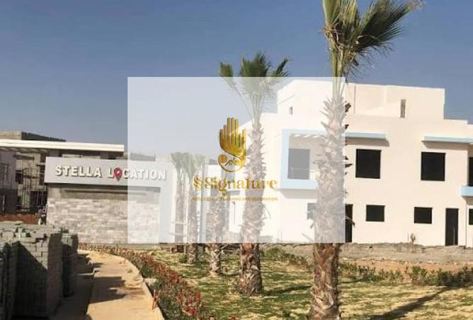 91579843 - Property Image 3