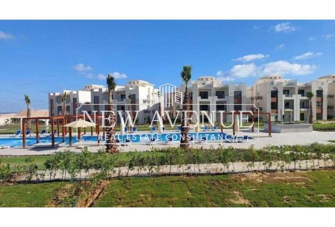 57998656 - Property Image 3