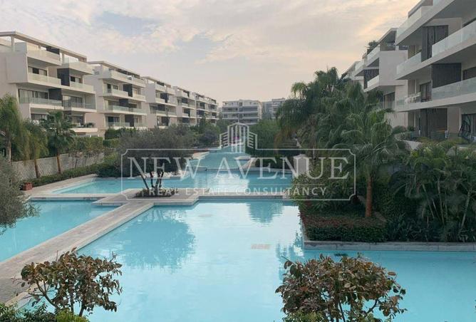 75668149 - Property Image 2