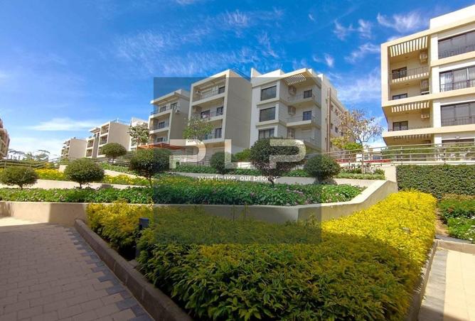 93537088 - الصورة الرئيسية للعقار
