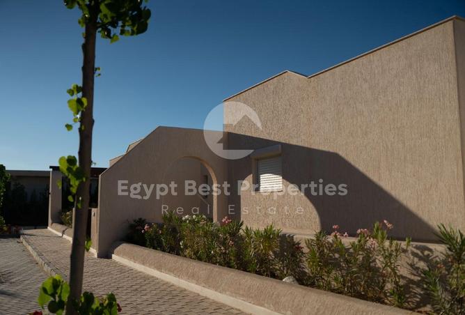 100096066 - صورة العقار 3