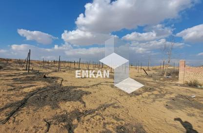قطعة أرض - استوديو للبيع في شارع حوض 4 فرعي - الحزام الاخضر - مدينة 6 أكتوبر - الجيزة
