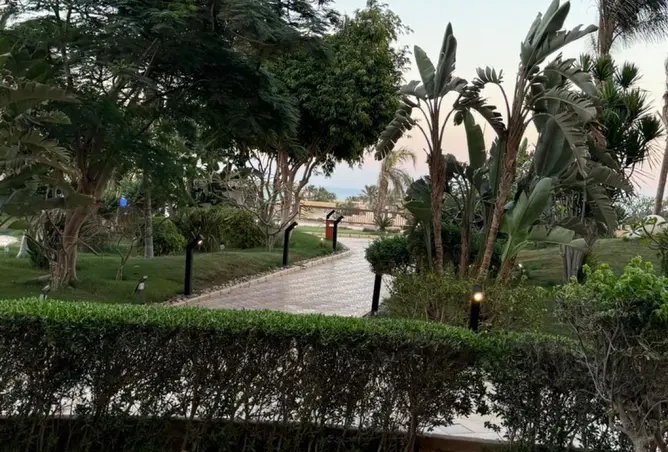 117275383 - صورة العقار 2