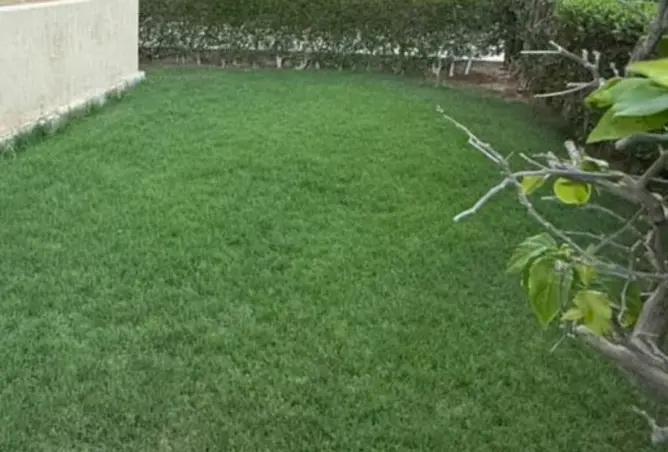 117275383 - صورة العقار 3