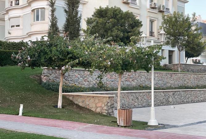 70106043 - Property Image 2