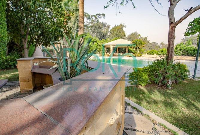 68526513 - صورة العقار 3