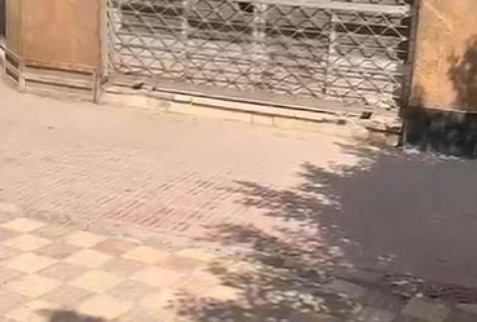 66422612 - صورة العقار 3