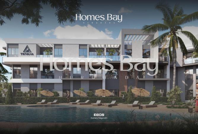 63136440 - Property Image 3