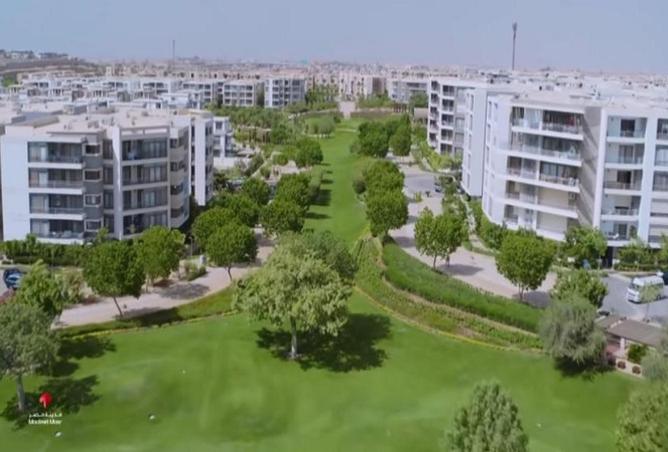 52717809 - Property Main Image