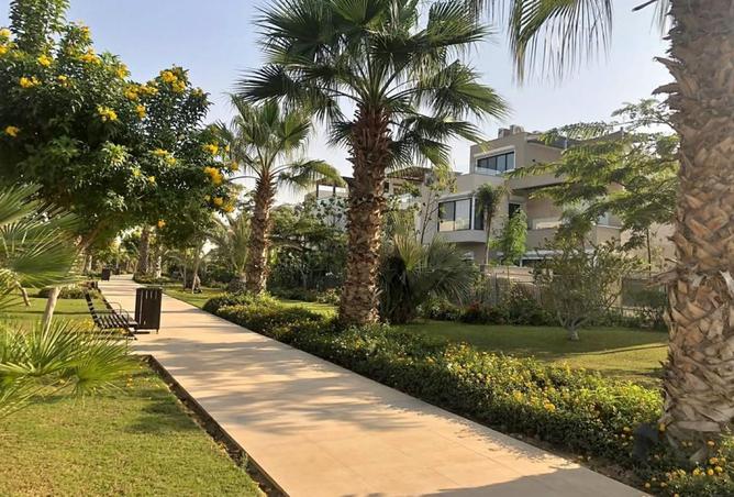 64130488 - صورة العقار 3