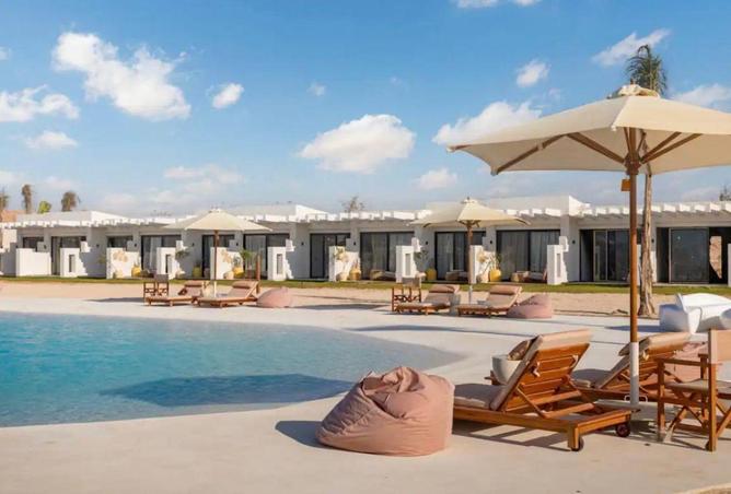 67738447 - Property Image 3