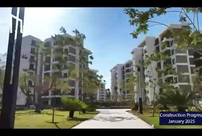 54745883 - Property Image 3