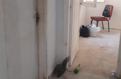 Apartment - 2 Bedrooms - 1 Bathroom for rent in 16th District - Sheikh Zayed City - Giza