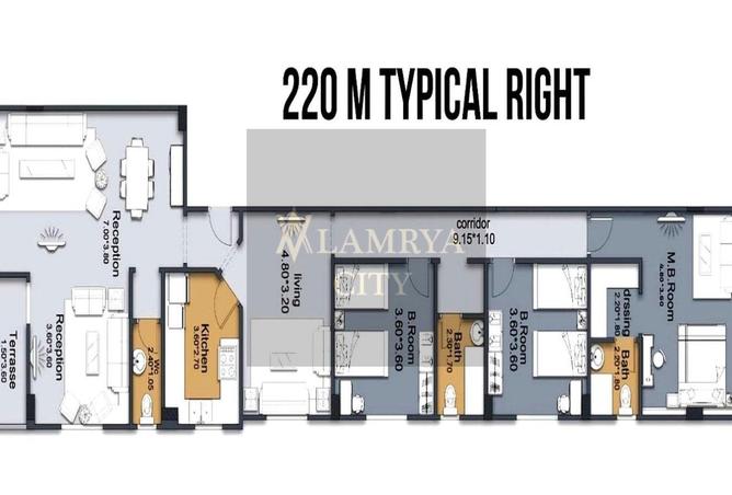 54748750 - Property Image 3