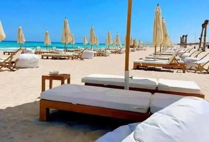 116485343 - صورة العقار 2