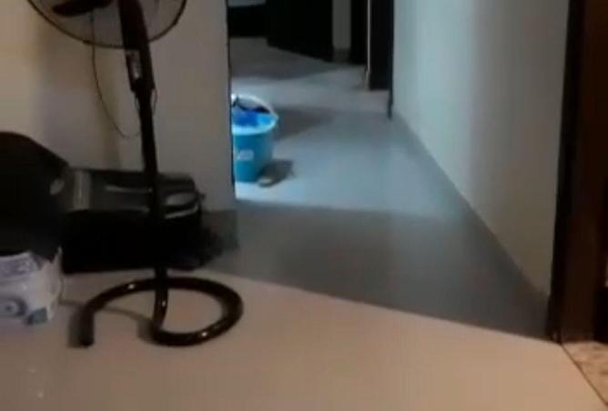 8664255 - Property Image 3