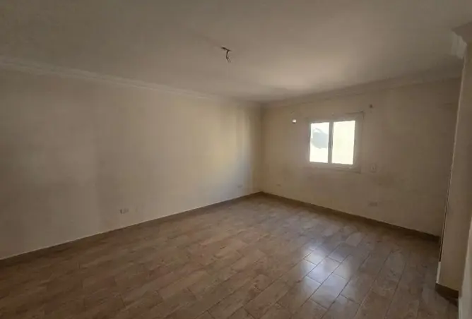 113817982 - Property Image 3