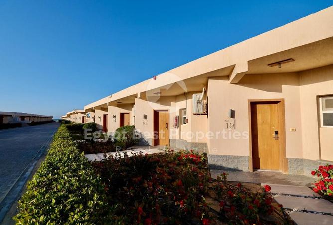 101773521 - Property Image 3