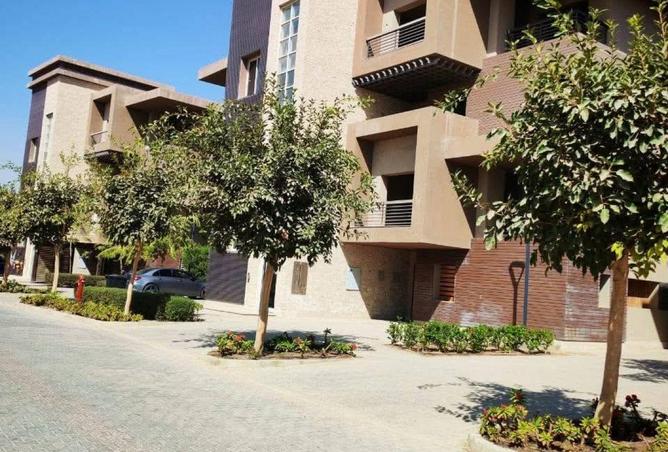 8617539 - Property Image 3