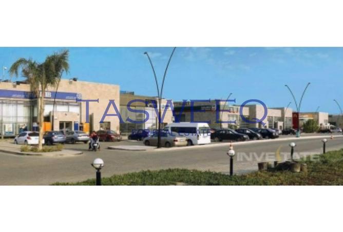 65662921 - Property Image 2